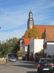 Bäume prägen einen Ort zusammen mit der Architektur