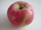 Rheinischer Bohnapfel