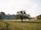 Das Hessische Ried Das Hessische Ried