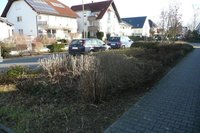 Grünanlage im Hessenring