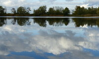 Das Foto aus dem Fotoworkshop des letzten Jahres zeigt Bäume und Wolken, die sich im Wasser spiegeln.
