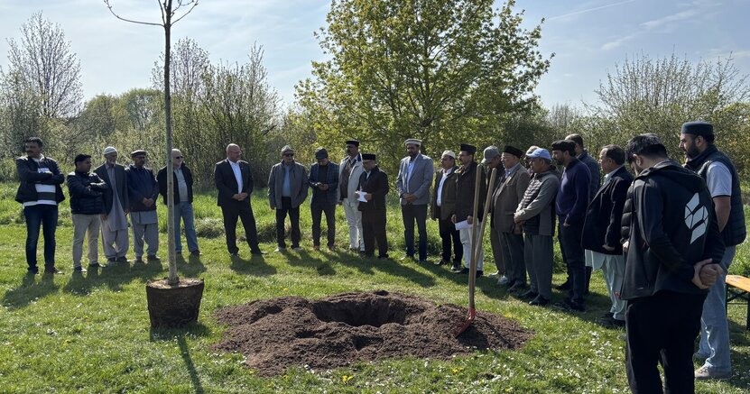 Mitglieder der Ahmadiyya-Muslim-Gemeinde sowie Bürgermeister Marcus Kretschmann (6. v.l.) und Karlheinz Hebermehl (5. v.l.) stehen in einem großen Rund auf einer Rasenfläche. In der Mitte ist ein großes Erdloch vorbereitet. Daneben steht die Esche, damit sie eingepflanzt werden kann.