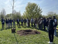 Mitglieder der Ahmadiyya-Muslim-Gemeinde sowie Bürgermeister Marcus Kretschmann (6. v.l.) und Karlheinz Hebermehl (5. v.l.) stehen in einem großen Rund auf einer Rasenfläche. In der Mitte ist ein großes Erdloch vorbereitet. Daneben steht die Esche, damit sie eingepflanzt werden kann.