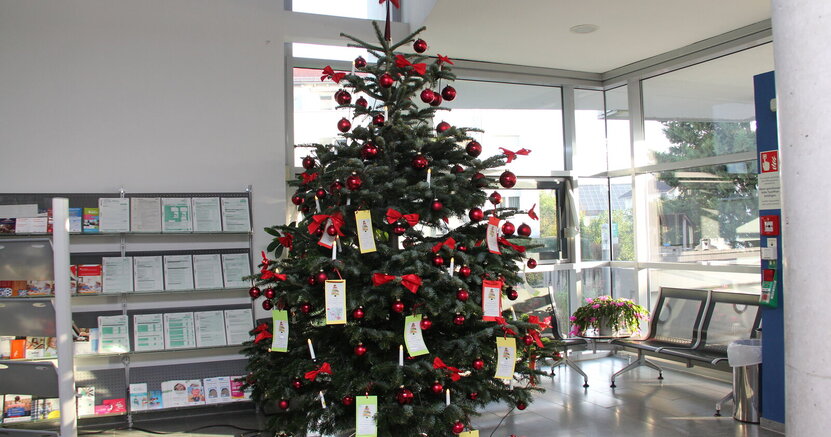 Zu sehen ist der Wunschbaum im Foyer des Rathauses. Geschmückt ist er mit Weihnachtskugeln und den Wunschzetteln der Kinder.