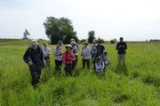 Exkursion: Die englische Delegation besichtigt Stromtalwiesen in der Leeheimer Gemarkung 