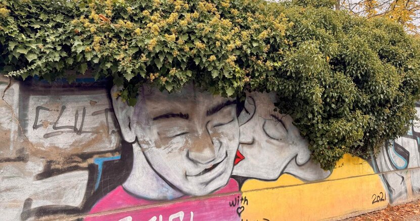 Zu sehen ist eine bemalte Mauer in Berlin. Darauf sind ein Männer- und ein Frauenkopf abgebildet. Die Büsche auf der Mauer sehen aus wie Haare.