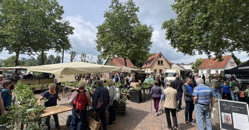 Auf dem Richthofenplatz sind mehrere Stände aufgebaut. Auf ihnen stehen Pflanzen. Menschen schauen sich die Pflanzen an, andere laufen über den Platz.