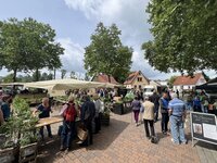Auf dem Richthofenplatz sind mehrere Stände aufgebaut. Auf ihnen stehen Pflanzen. Menschen schauen sich die Pflanzen an, andere laufen über den Platz.