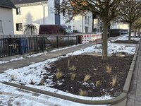 Zu sehen sind neue Beete in der Heinrich-Heine-Straße mit einem Baum und Schneeresten.
