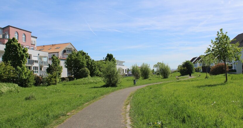 Links und rechts eines Fußweges sind Wiesen und Bäume einer Parkanlage zu sehen, dahinter kommen auf beiden Seiten Häuser des Quartiers "Am Hohen Weg".