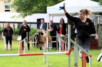 Die Hundesport-Vorführungen begeisterten das Publikum. Ein Hund springt gerade über eine Hürde. Seine Trainerin steht daneben und gibt mit erhobenen Arm den Befehl zum Springen.