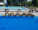 Wasserschlange im Freibad Goddelau