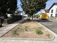 Fertiggestellte Pflanz- und Pflasterflächen in Bauabschnitt 1 der Heinrich-Heine-Straße – hier fehlt nur noch die Pflanzung, die ab dem 03.11.2025 beginnen soll.
