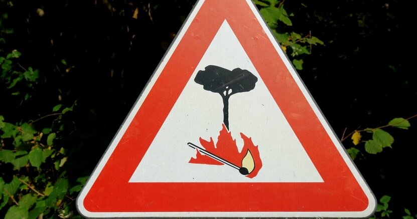 Warnschild, das zündeln im Wald verbietet