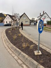 stehen nun zwei Bäume in einer mit Stauden und Blumenzwiebeln bepflanzten Fläche