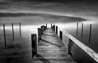„Novembersee“ hat Bernd Susenburger dieses Werk benannt. Auf der Schwarz-Weiß-Fotografie führt ein Steck auf einen See. Über dem See liegt Dunst.
