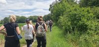 Auch eine Kräuterwanderung gehörte zu den Angeboten Von hinten sind Frauen in Sommerkleidung zu sehen, die einen Wiesenweg entlang gehen. Auf der linken Seite befinden sich Felder, auf der anderen Seite Büsche und Bäume.
