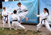 Zu sehen sind vier Karate-Kämpfer in Aktion, davon einer im Sprung.